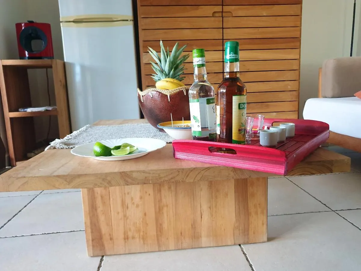 Studio Charmant Vue Mer Et Montagne A La Trinite 40 M² + Balcon